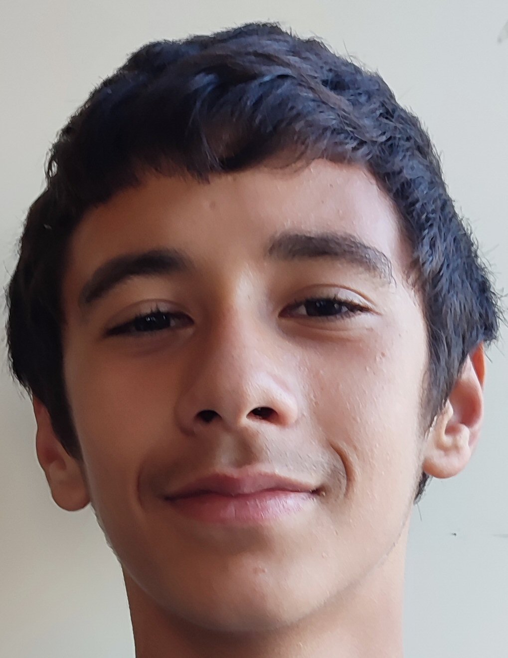 DIOGO ALDEIAS DA SILVA