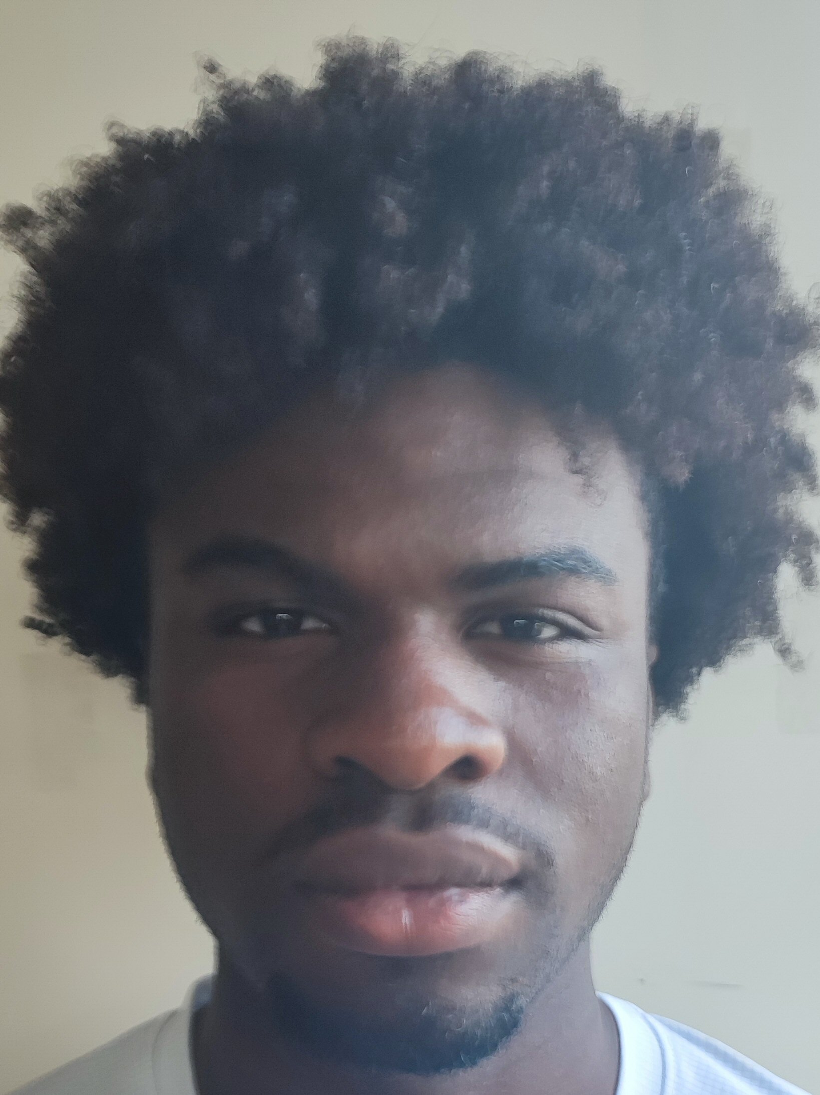 ALAN GONÇALO MUANDA SOARES TAVARES