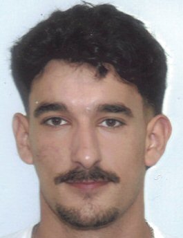 VASCO DA PONTE CARVALHO