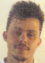 ANDRÉ MANUEL GONÇALVES MARAVALHAS