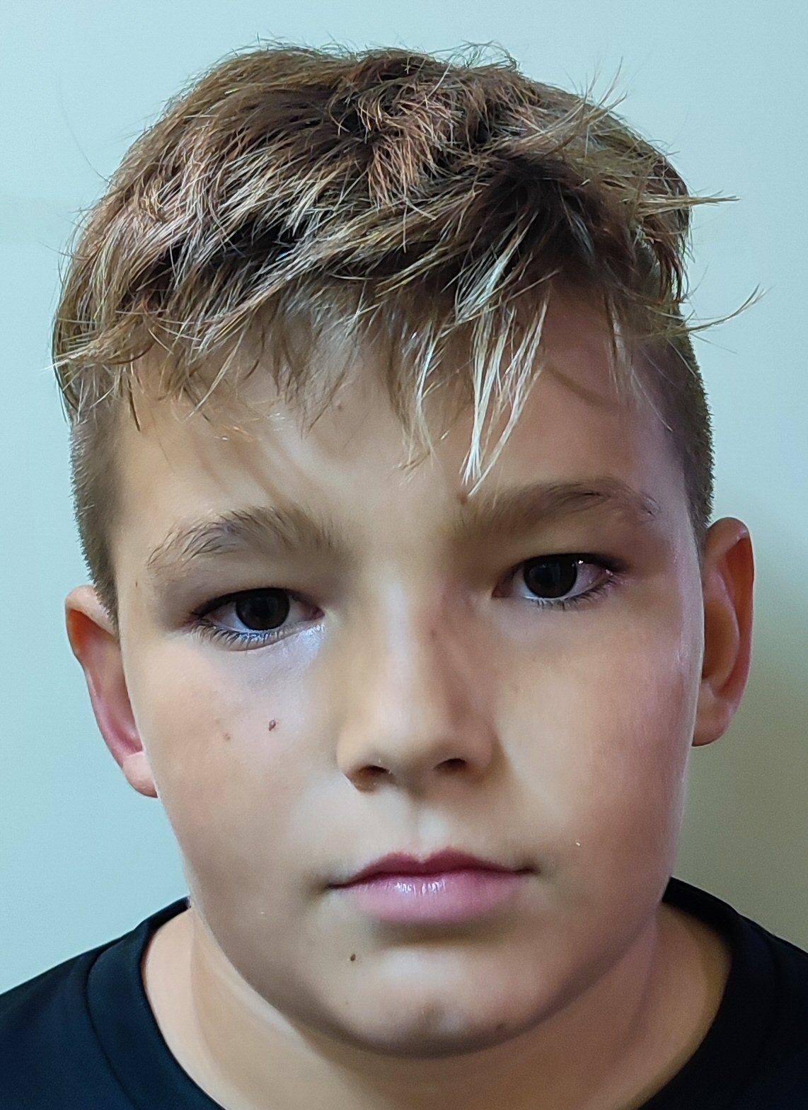 DINIS FERNANDES GOMES