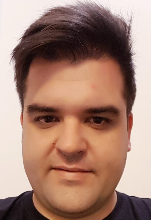 RUI ALEXANDRE ARAÚJO DA COSTA