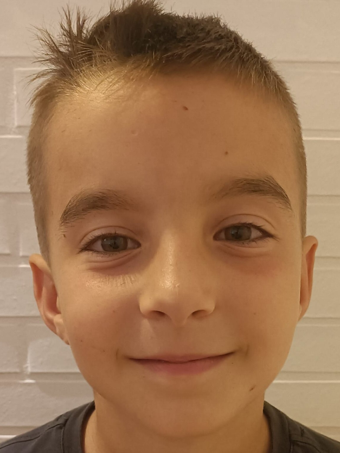 AFONSO FERREIRA MARTINS MOREIRA