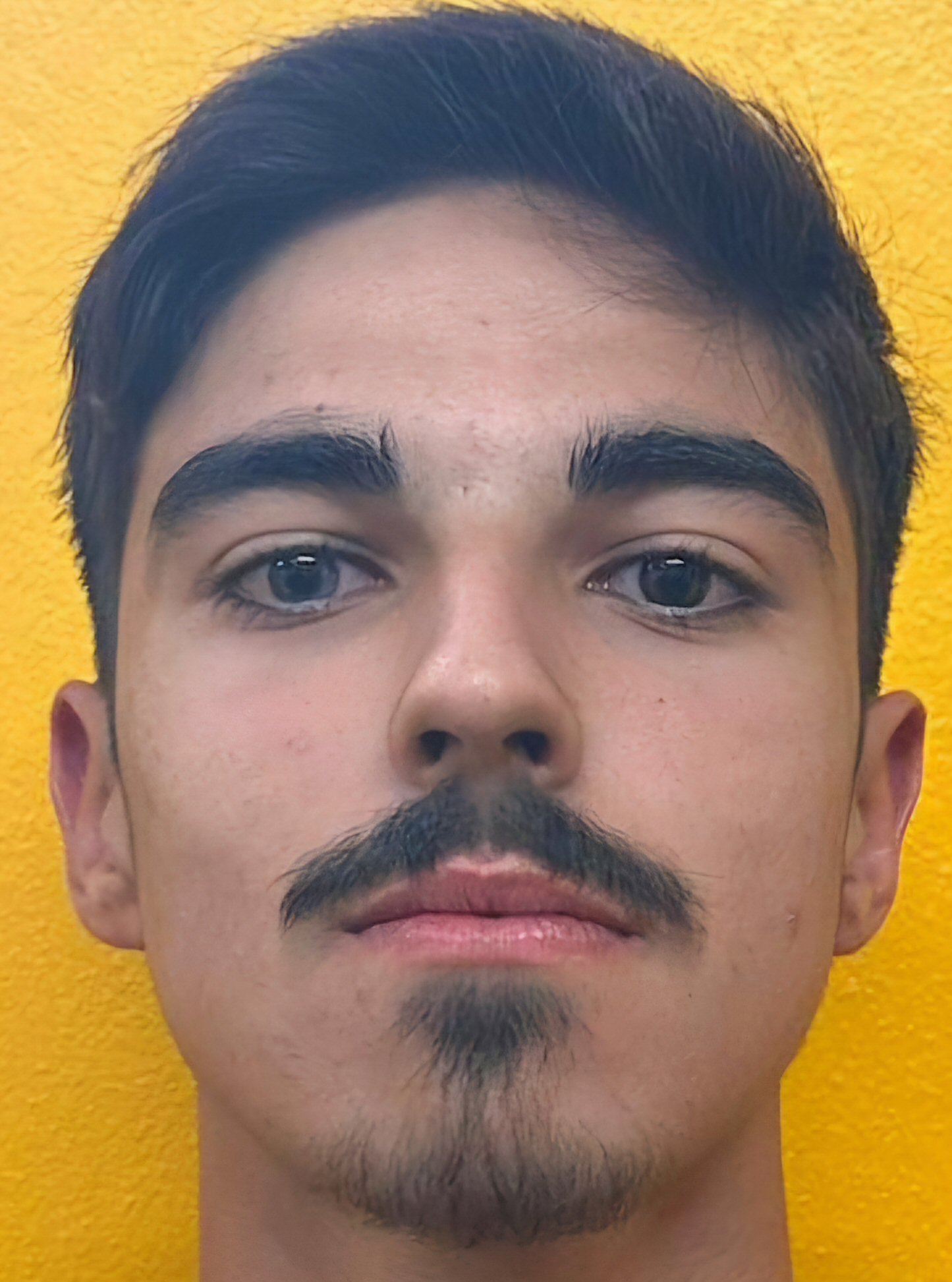 AFONSO GOMES CARNEIRO